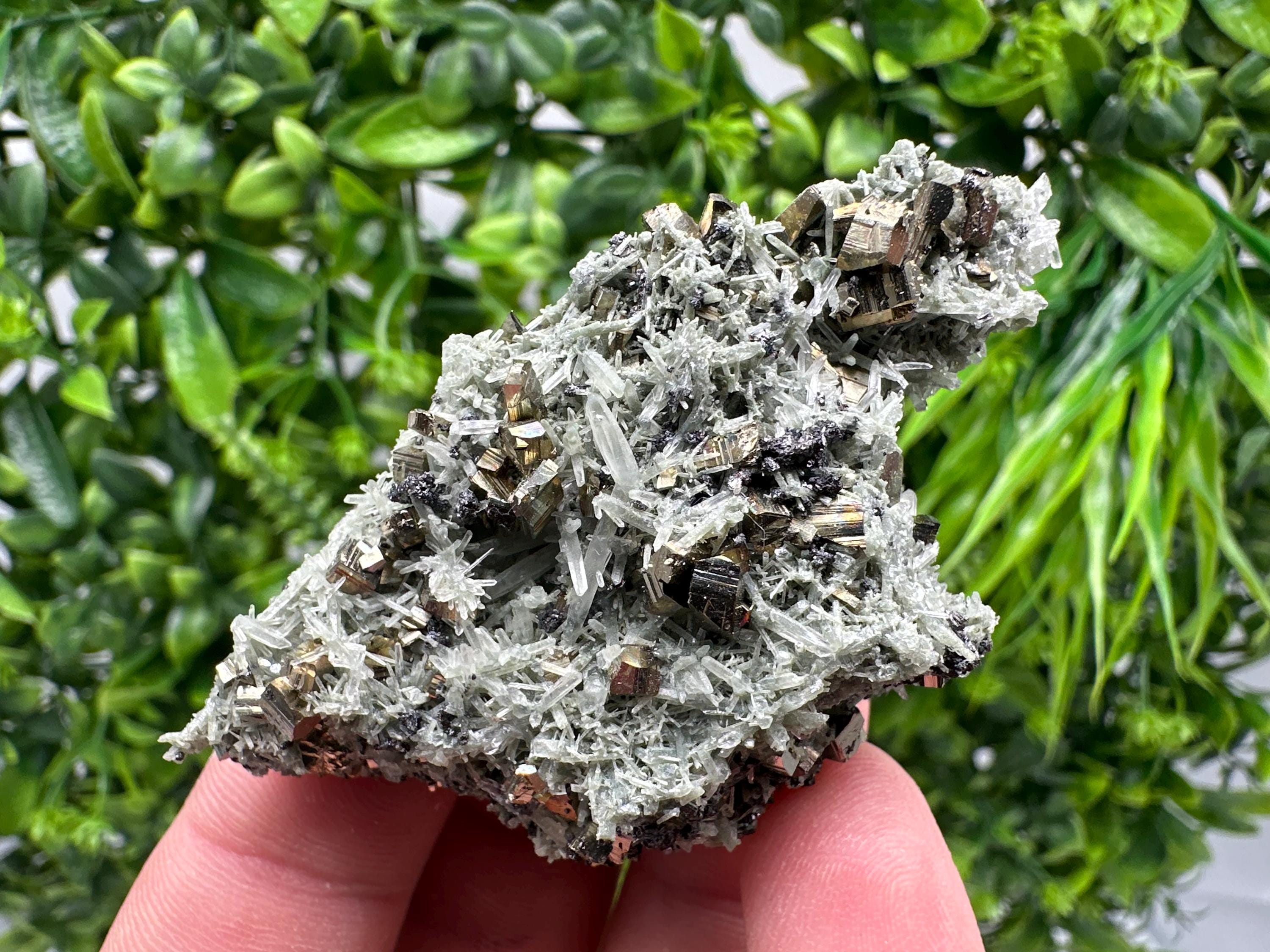 Pyrite on Green Quartz Mineral Specimen, Borieva Mine, Bulgaria