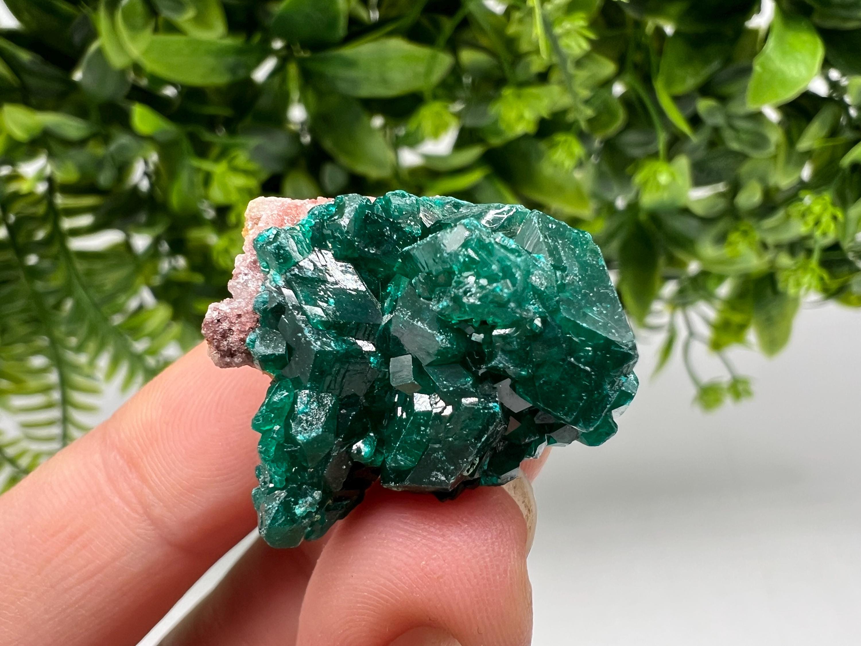 Green Dioptase Crystal, Mindouli Congo