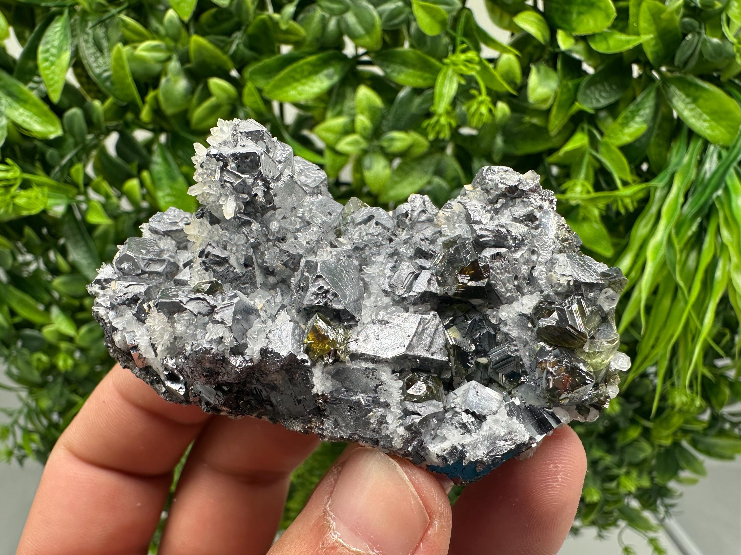 Rare Galena Sphalerite Pyrite Mineral Specimen: Krushev Dol Mine, Bulgaria
