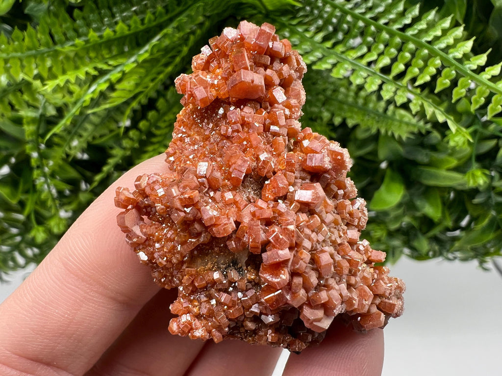 Red Vanadinite Crystal Cluster on Barite Matrix, Morocco Mineral Specimen