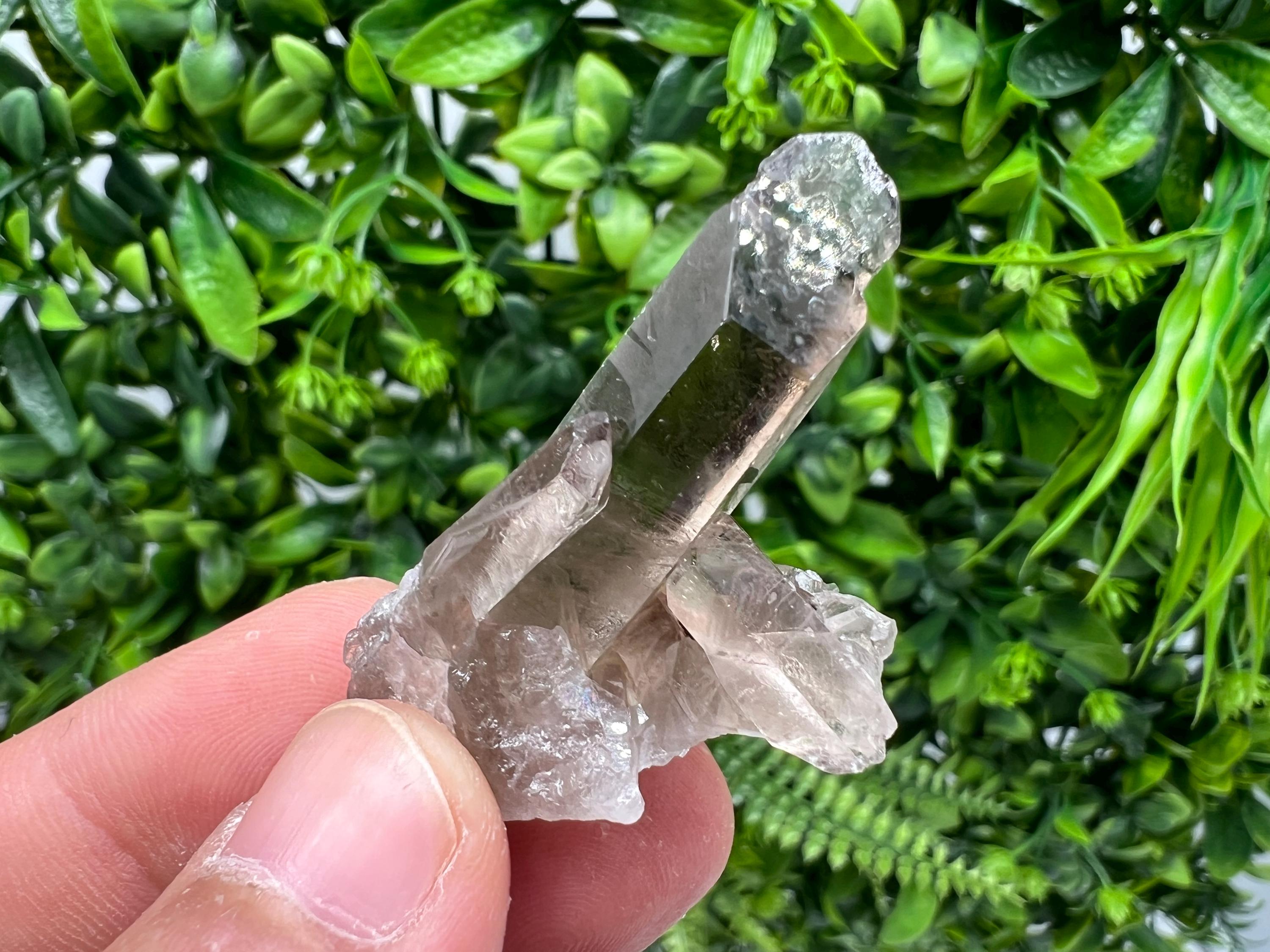Rare Smoky Quartz Crystal Specimen: Mineral Collection, Brazil