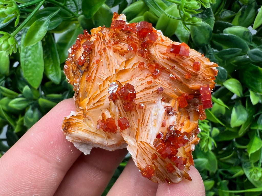 Red Vanadinite on Barite from Marocco,crystal minerals Speciment cluster Vanadinite crystal Vanadinite Geology Vanadinite cluster minerals