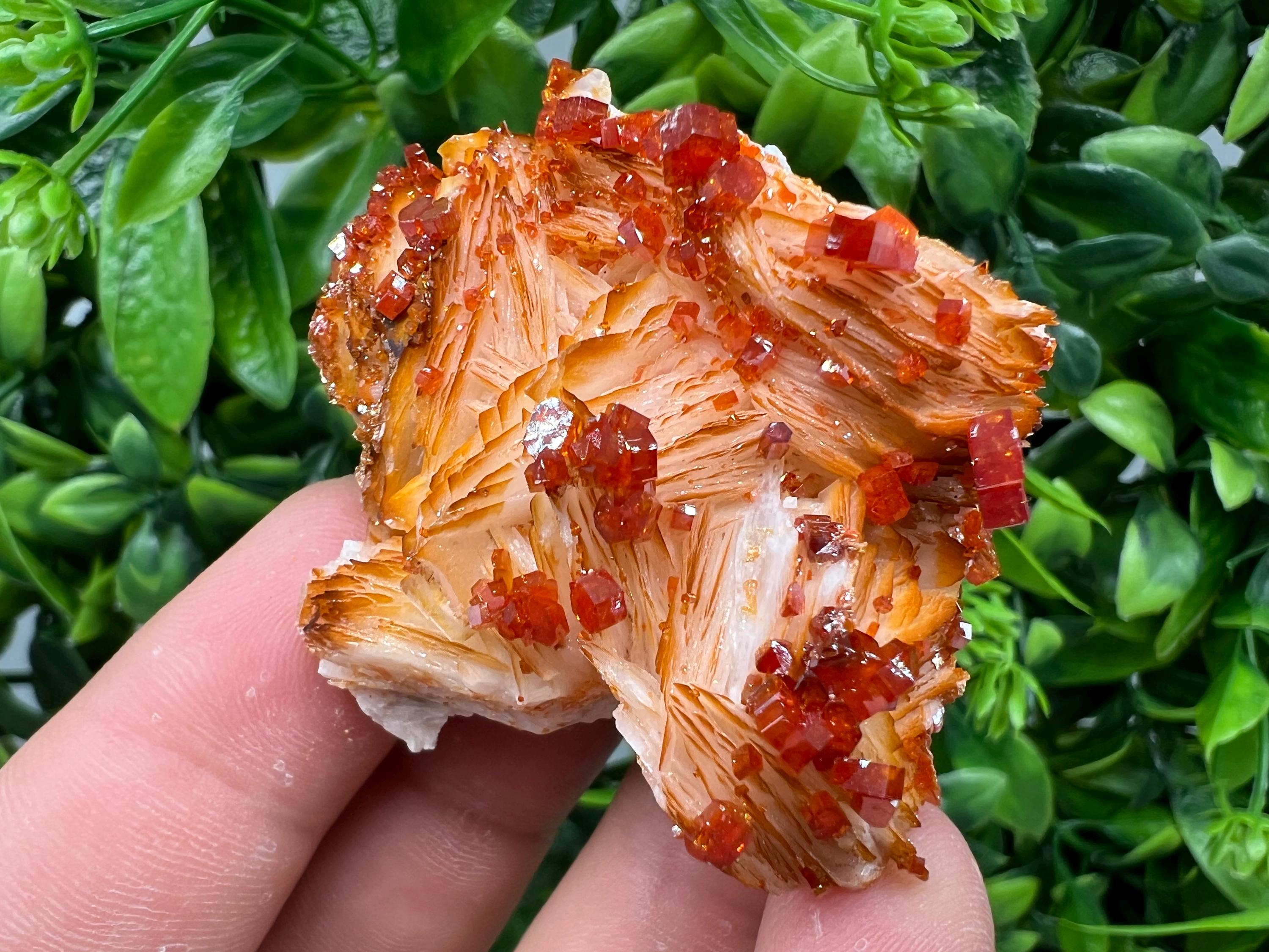 Red Vanadinite on Barite from Marocco,crystal minerals Speciment cluster Vanadinite crystal Vanadinite Geology Vanadinite cluster minerals