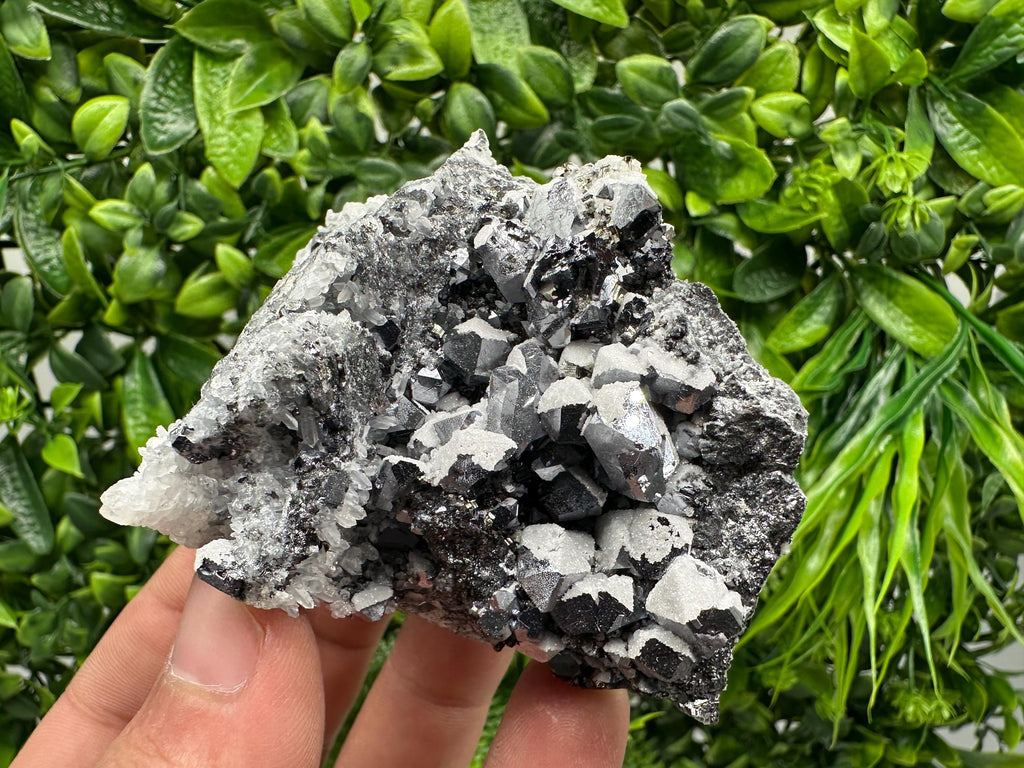 Skeletal Galena Mineral Specimen, Drujba Mine Bulgaria