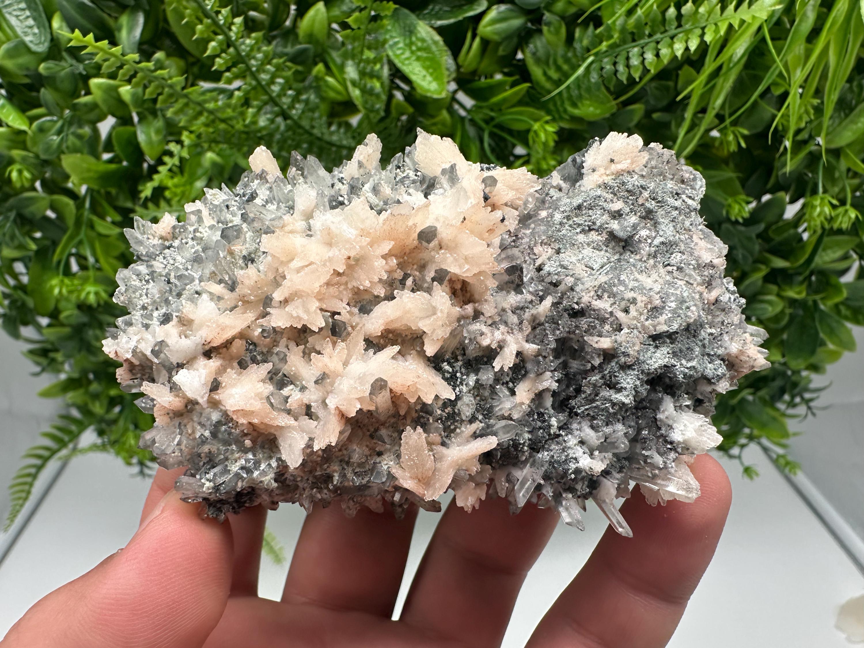 Calcite on Green Quartz: Djurcovo Mine, Bulgaria Crystal