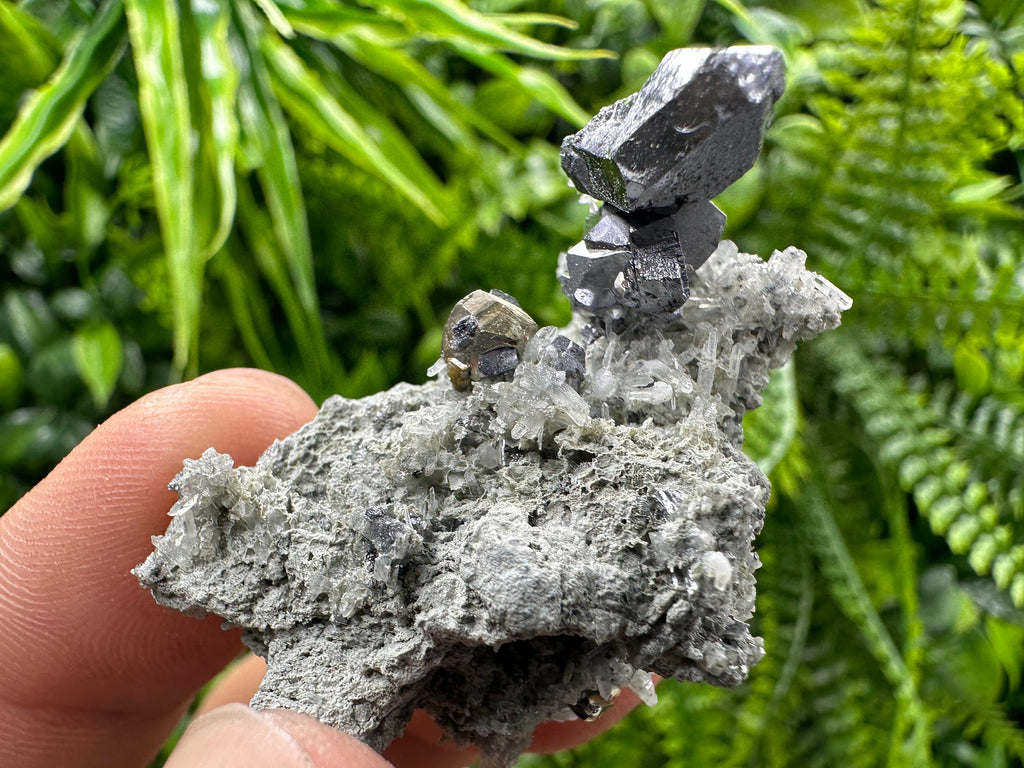 Spinel Law Galena on Quartz with Chalcopyrite: Borieva Mine Minerals