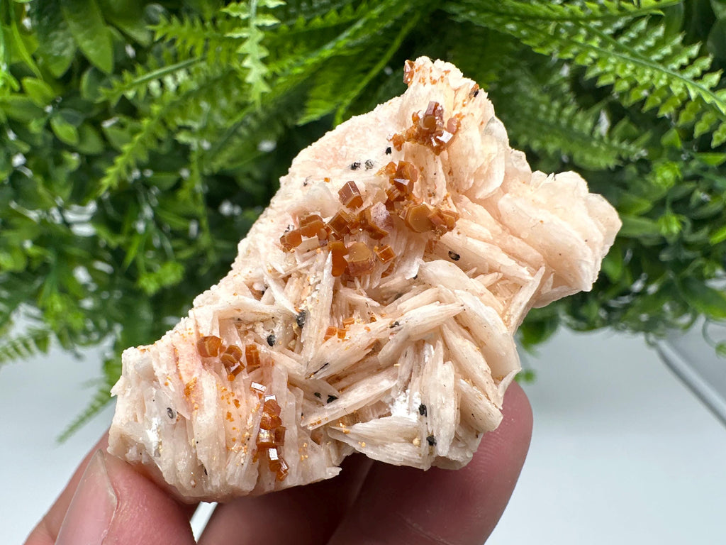 Red Vanadinite on Barite, Moroccan Crystal Specimen