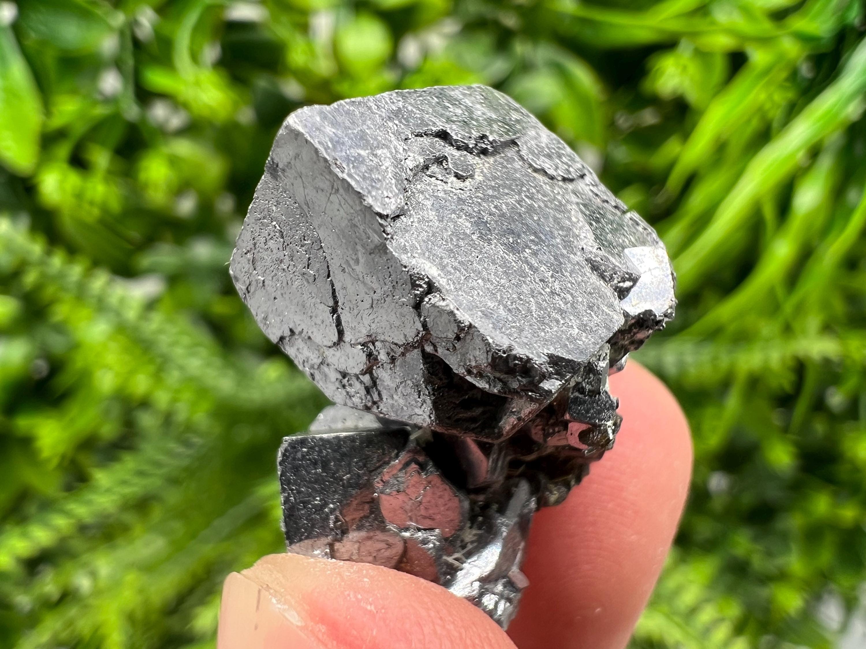 Shiny Galena Cluster: Borieva Mine, Madan Bulgaria