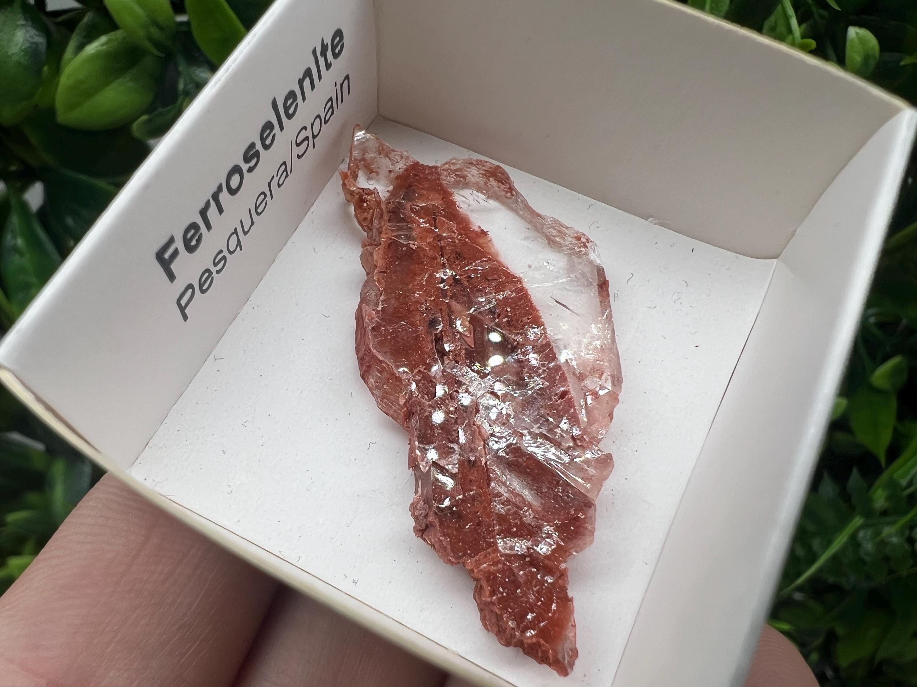 Rare Ferroselenite Specimen: La Pesquera, Spain Mineral (4.5/2.3 cm