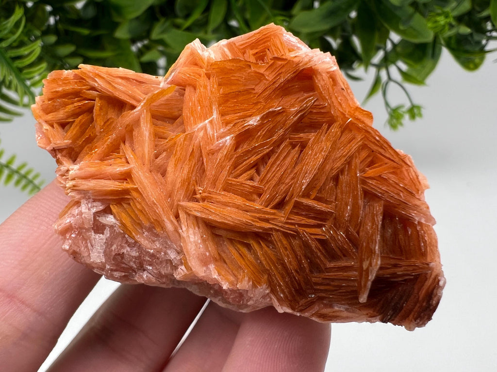Wonderful Baryte with Cerussite on Galena from Morocco,Crystal, Mineral,Specimen,Cluster,Crystals,Barite Crystal,Cerussite Crystal,Specimen