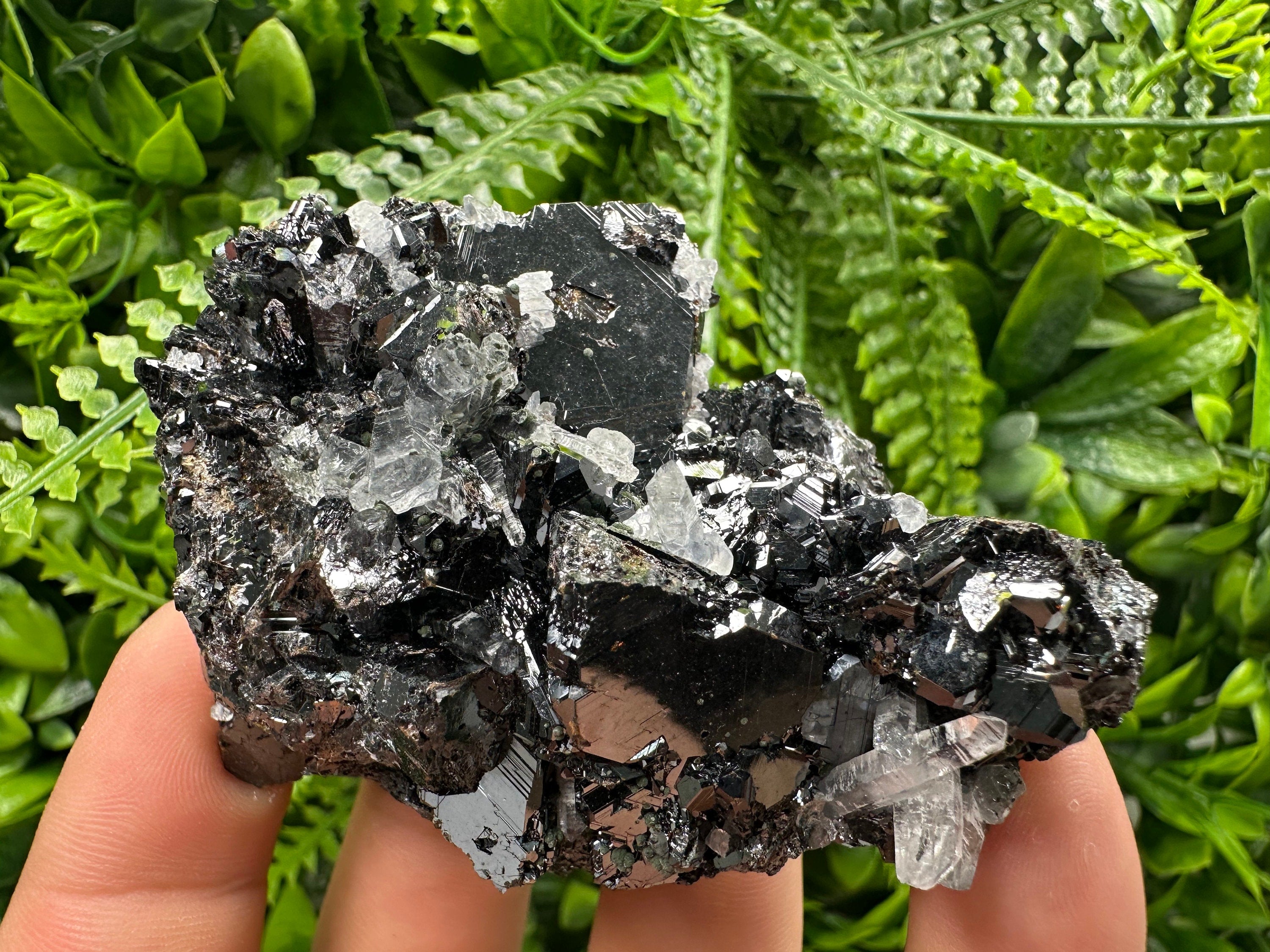 Borieva Sphalerite on Quartz: Rare Mineral Cluster