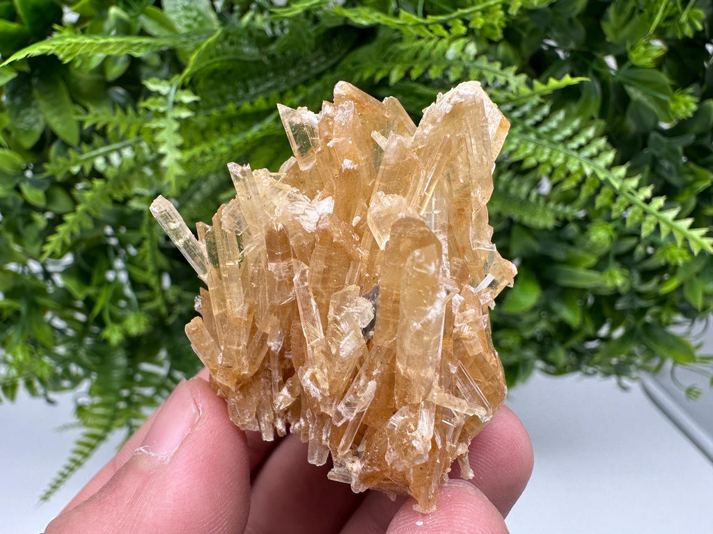 Brown Gypsum Selenite Crystal, Rudna Mine Poland, Mineral Specimen