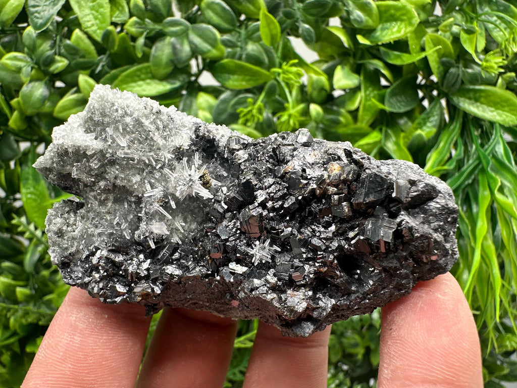 Sphalerite on Green Quartz, Madan Bulgaria Mineral Specimen