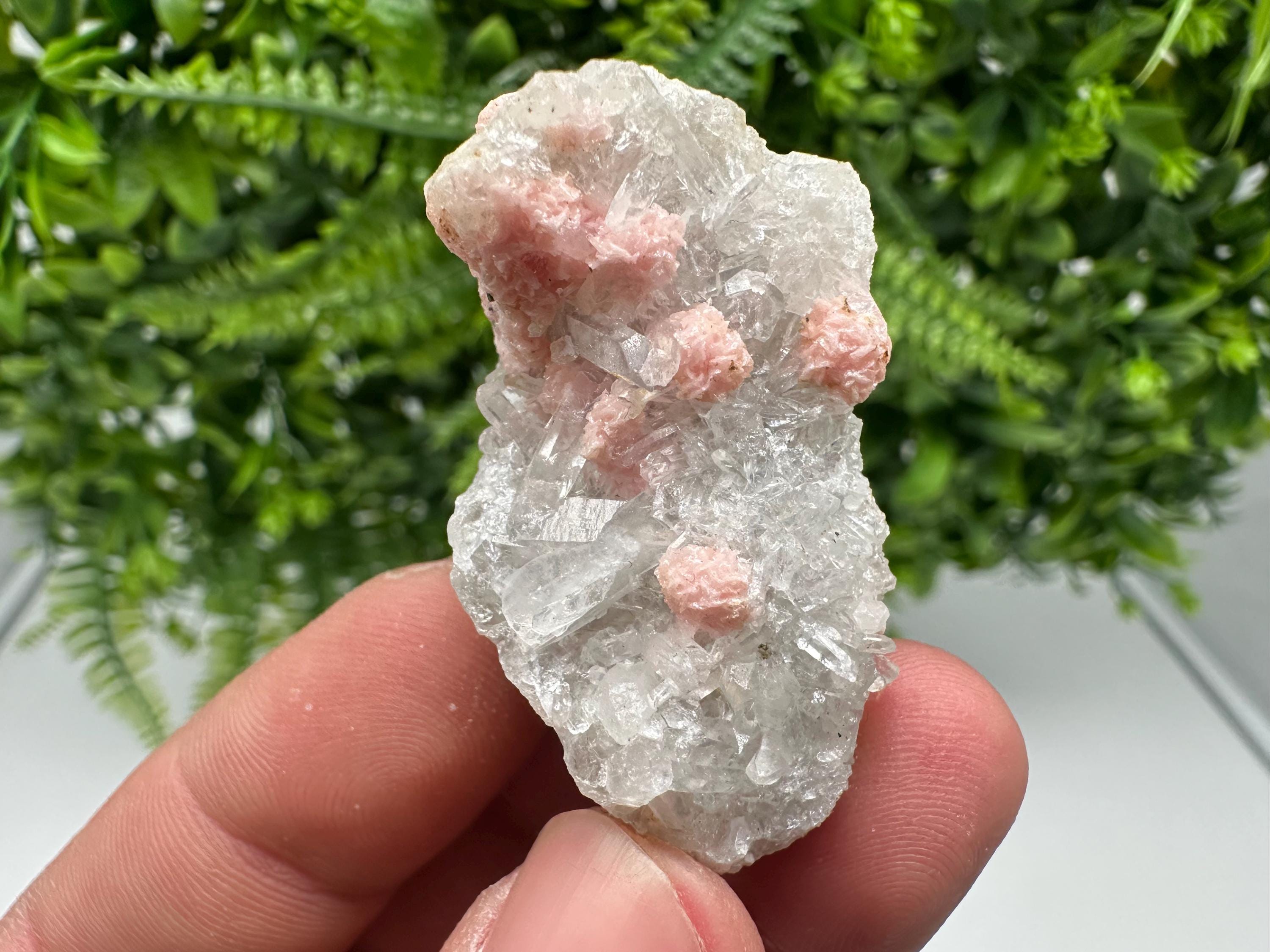 Rhodochrosite on Quartz: Pink Crystal Home Decor, Bulgaria Mineral Souvenir
