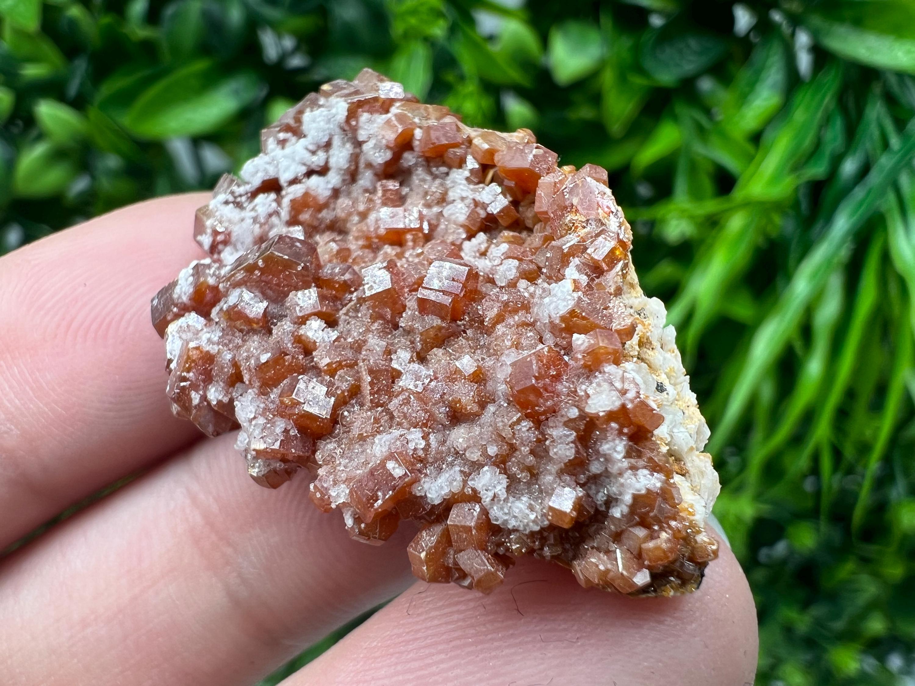 Red Vanadinite on Barite from Marocco,crystal minerals Speciment cluster Vanadinite crystal Vanadinite Geology Vanadinite cluster minerals