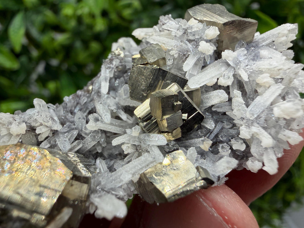 Pyrite Sphalerite Quartz  Mineral Specimen, Krushev dol Mine