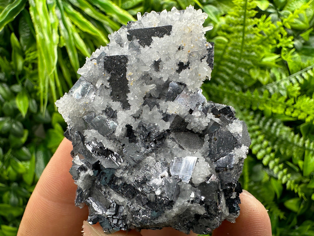 Galena with Quartz Crystal: Natural Mineral Specimen, Bulgaria