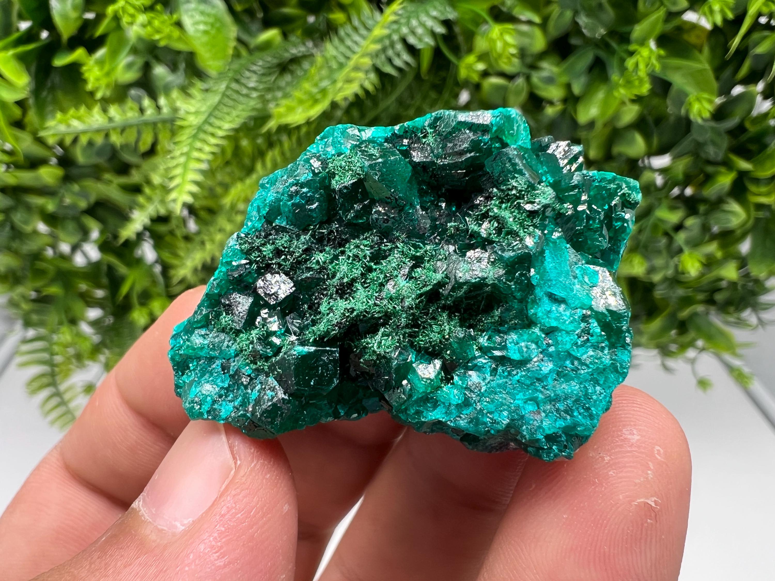 Stunning Green Dioptase from Sanda Hills,Mindouli,Pool Department,Mindouli District,Congo,green Dioptase,Dioptas Crystal,Dioptase collecting
