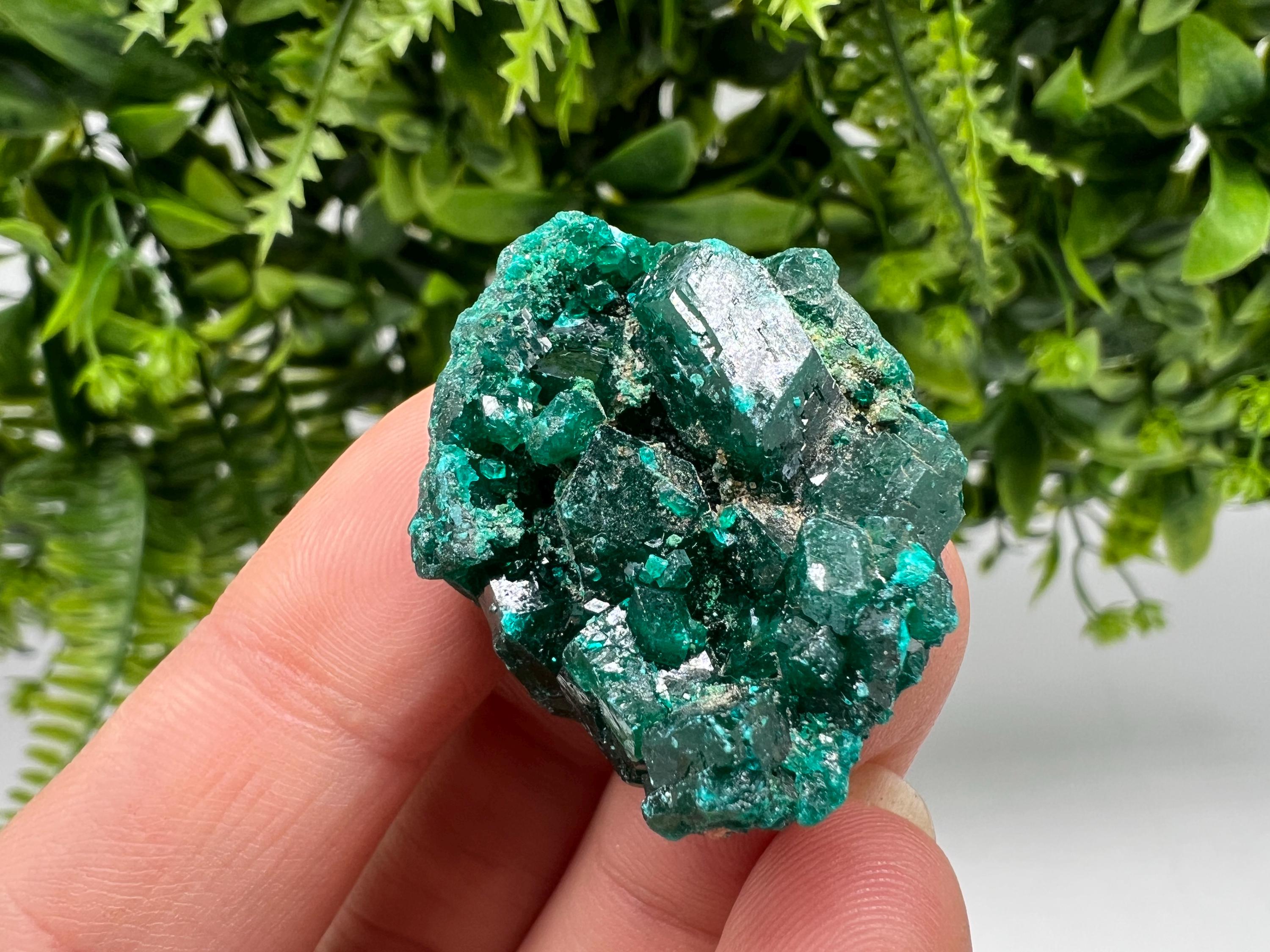 Stunning Green Dioptase from Sanda Hills,Mindouli,Pool Department,Mindouli District,Congo,green Dioptase,Dioptas Crystal,Dioptase collecting