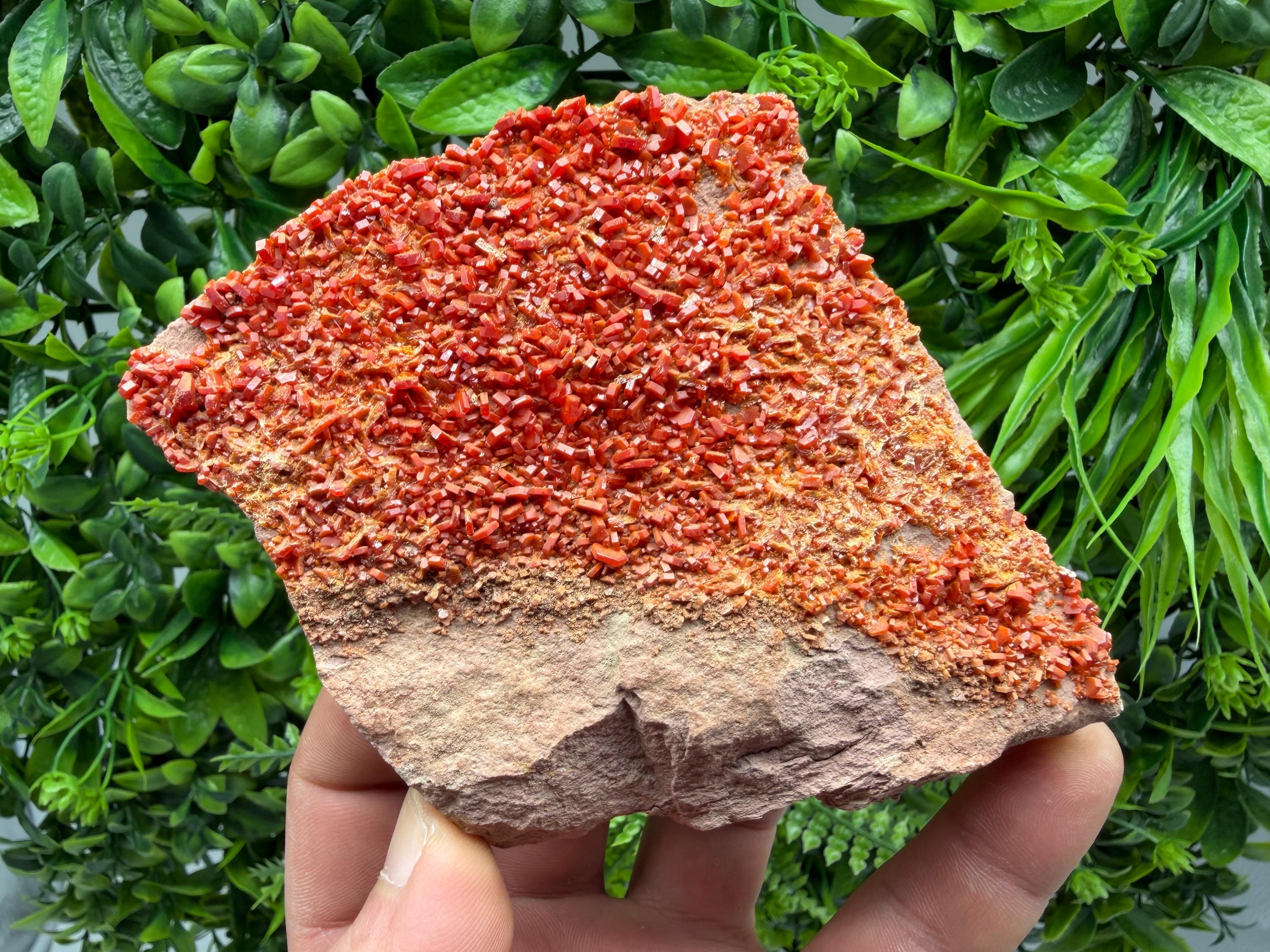Red Vanadinite on Matrix from Marocco,crystal minerals Speciment cluster Vanadinite crystal Vanadinite Geology Vanadinite cluster minerals