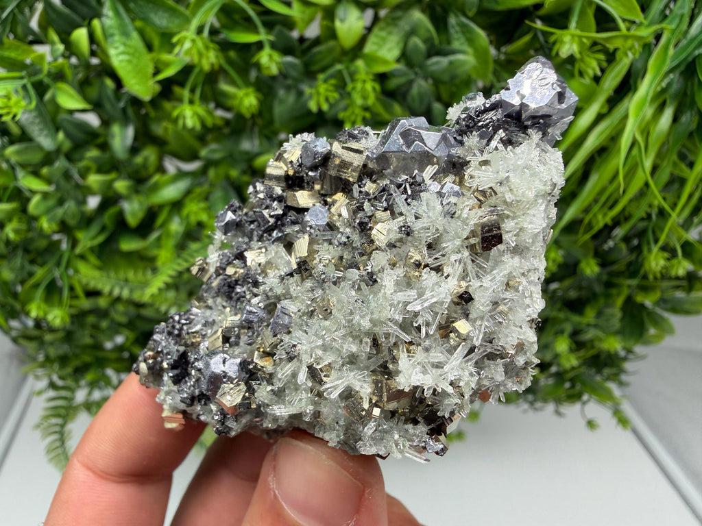 Pyrite Sphalerite Quartz  Mineral Specimen, Krushev dol Mine