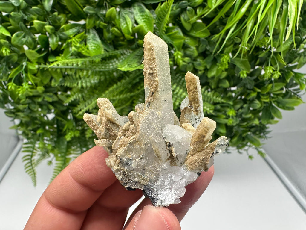 Quartz whit Brown Rhodochrosite from Djurcovo mine,Bulgaria,Quartz,Rhodochrosite cluster,natural mineral,collection crystal,mineral specimen