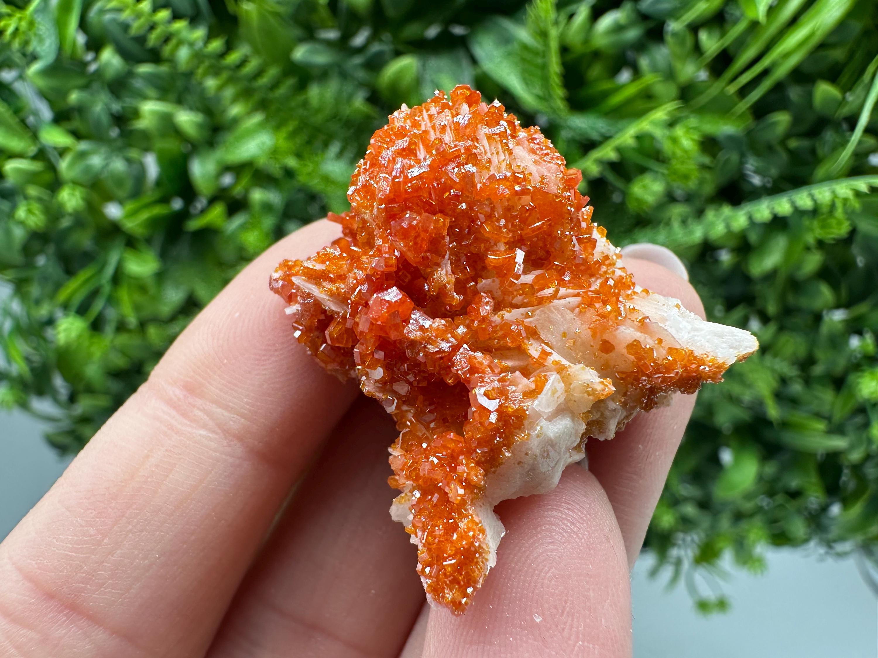 Red Vanadinite on Barite Cluster, Morocco Mineral Specimen