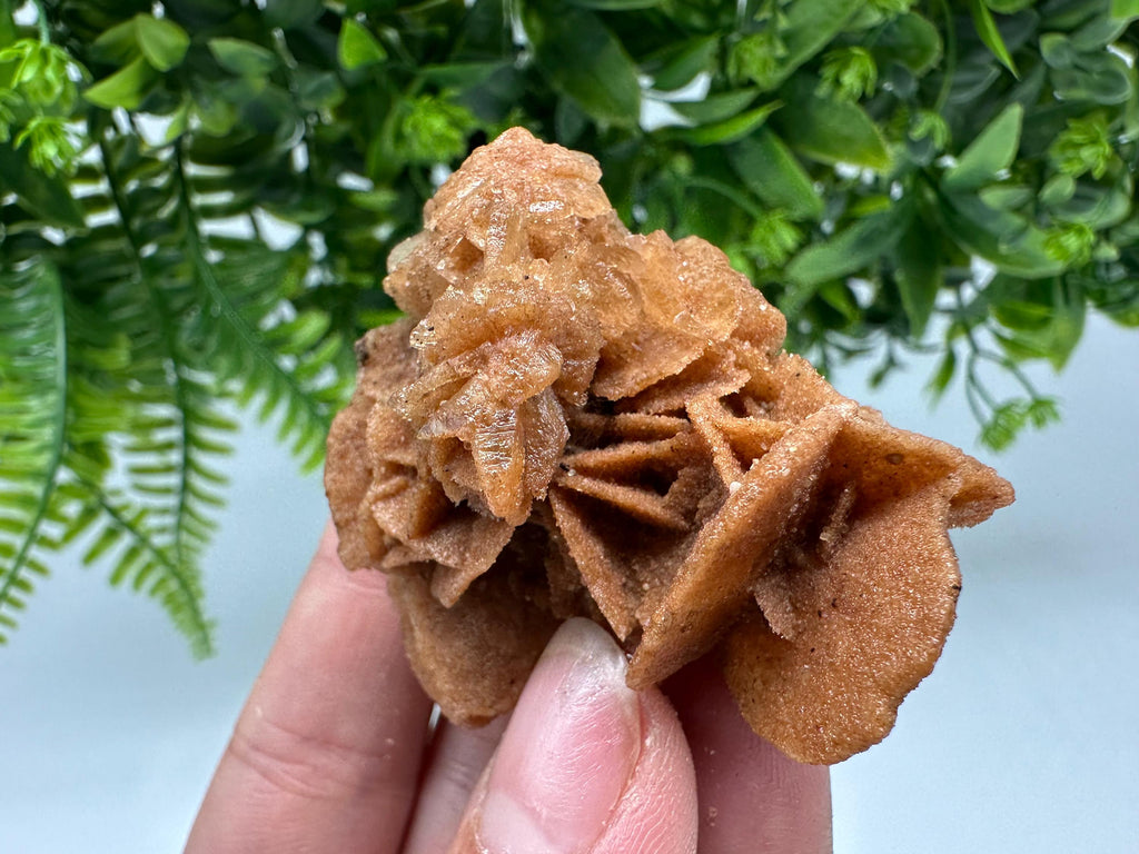 Desert Rose Crystal: Root Chakra Healing Selenite Stone
