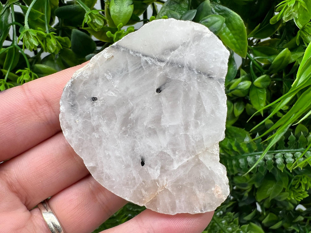 Quartz with Black Tourmaline Polished Slab: Crystal Slice