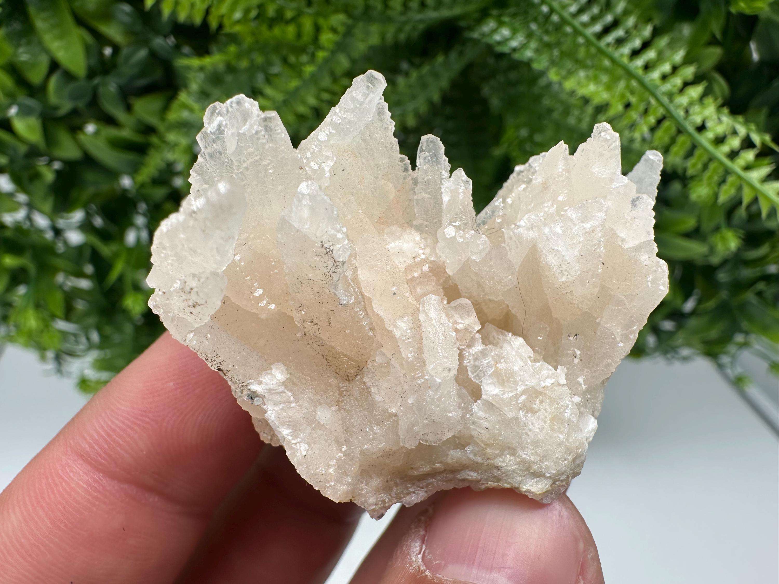 Calcite on Green Quartz: Djurcovo Mine, Bulgaria Crystal