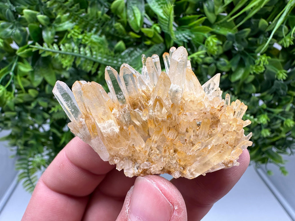 Transparent Quartz Limonite Crystal Cluster, 9th September mine,Mine, Bulgaria,natural,collection mineral specimen