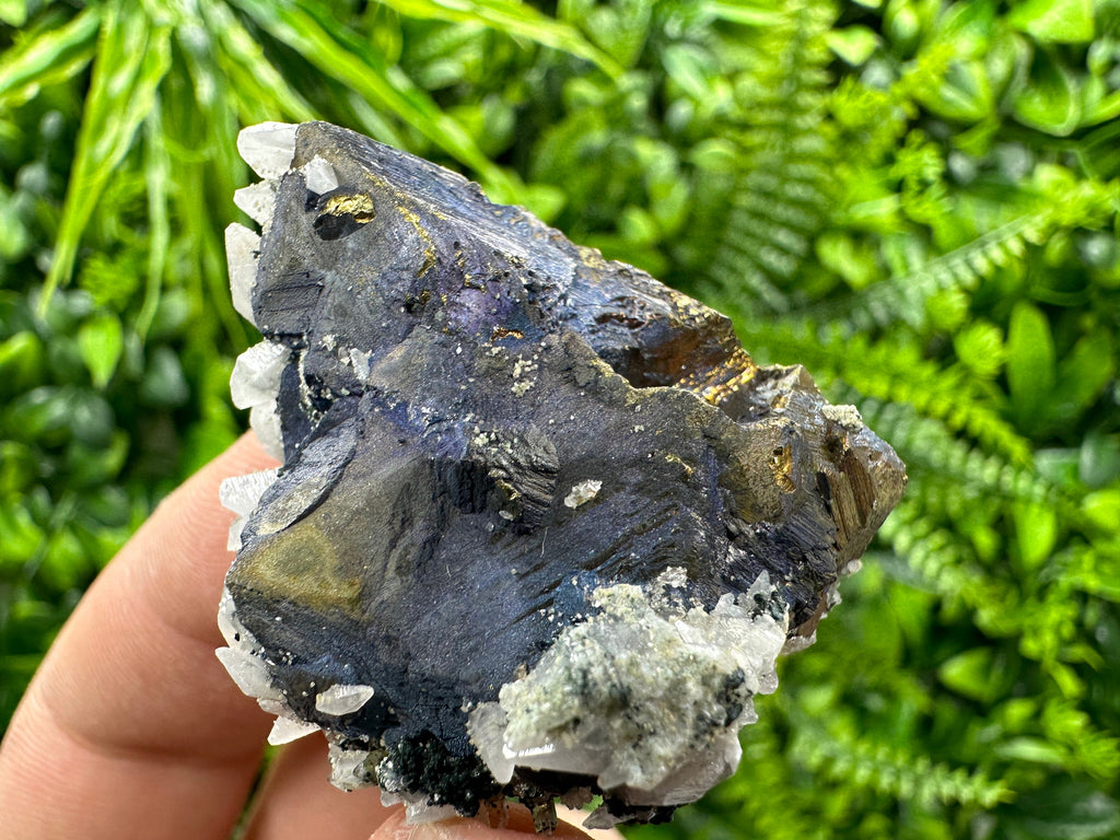 Chalcopyrite Borinite Covelline Mineral Specimen: Djurcovo Mine, Bulgaria