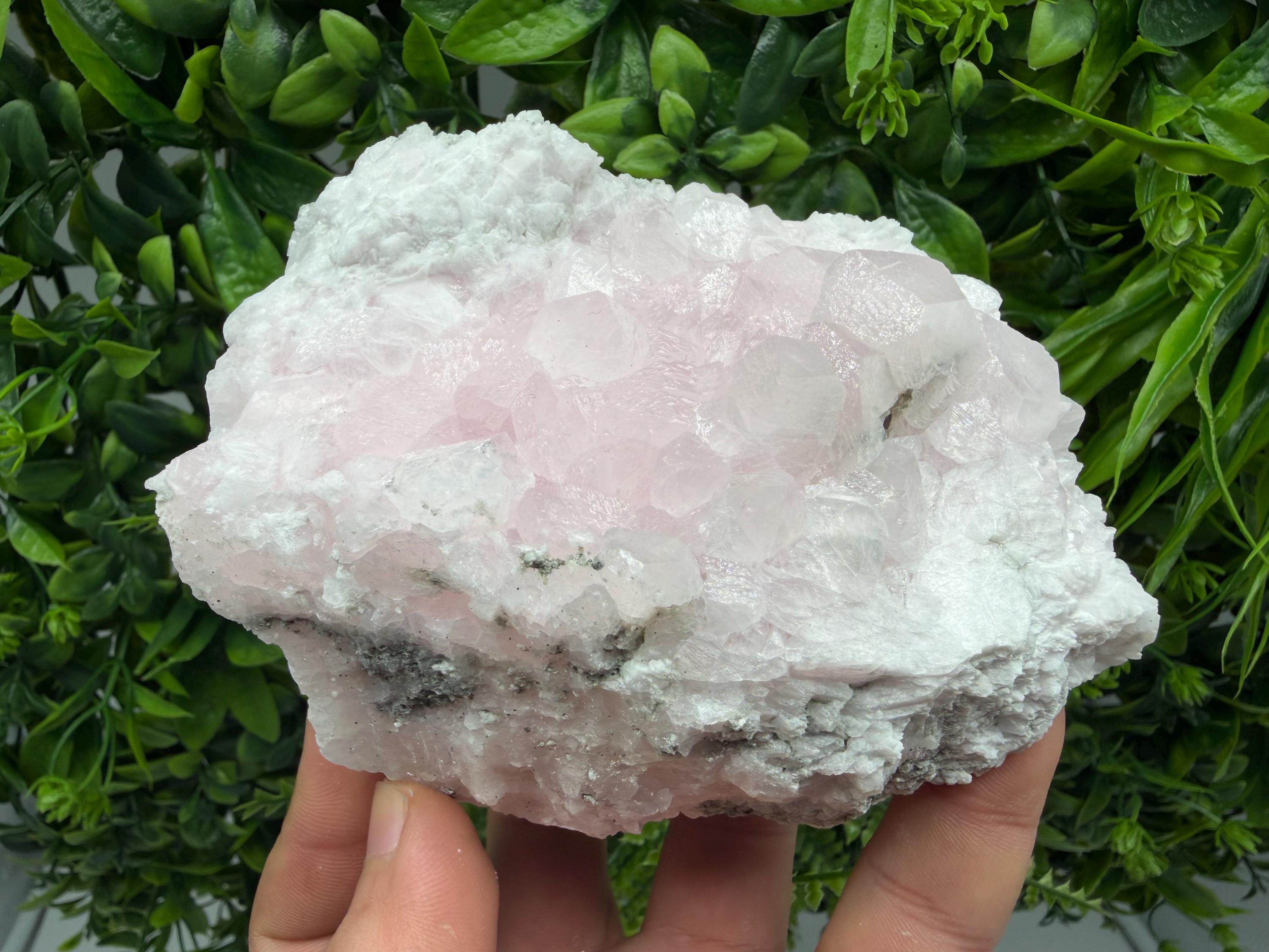 UV Reactive Mangano Calcite, Bulgaria Mineral Specimen, Home Decor