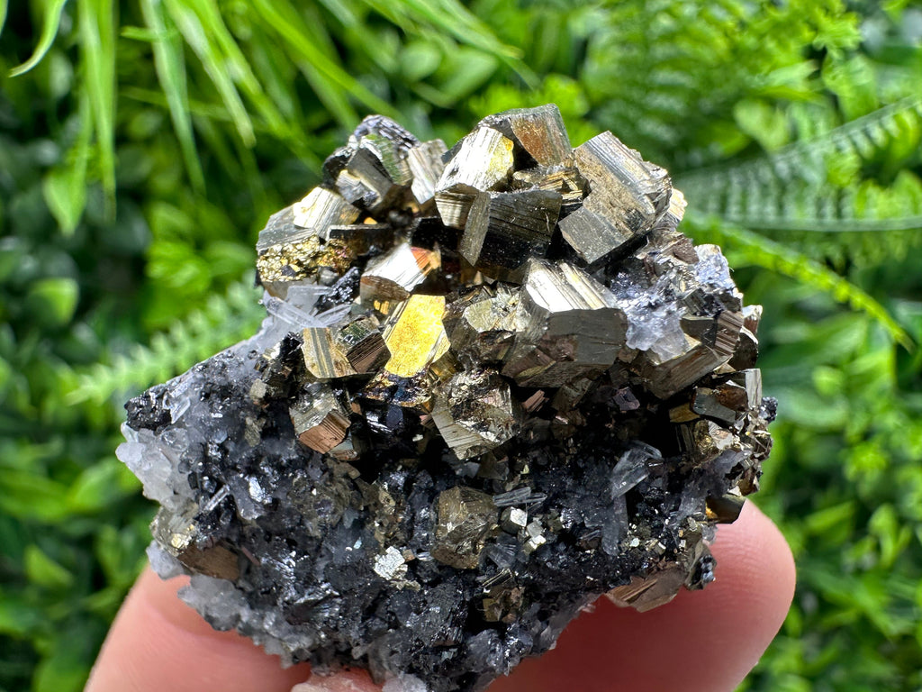 Rainbow Pyrite on Sphalerite & Quartz, Borieva Mine, Bulgaria