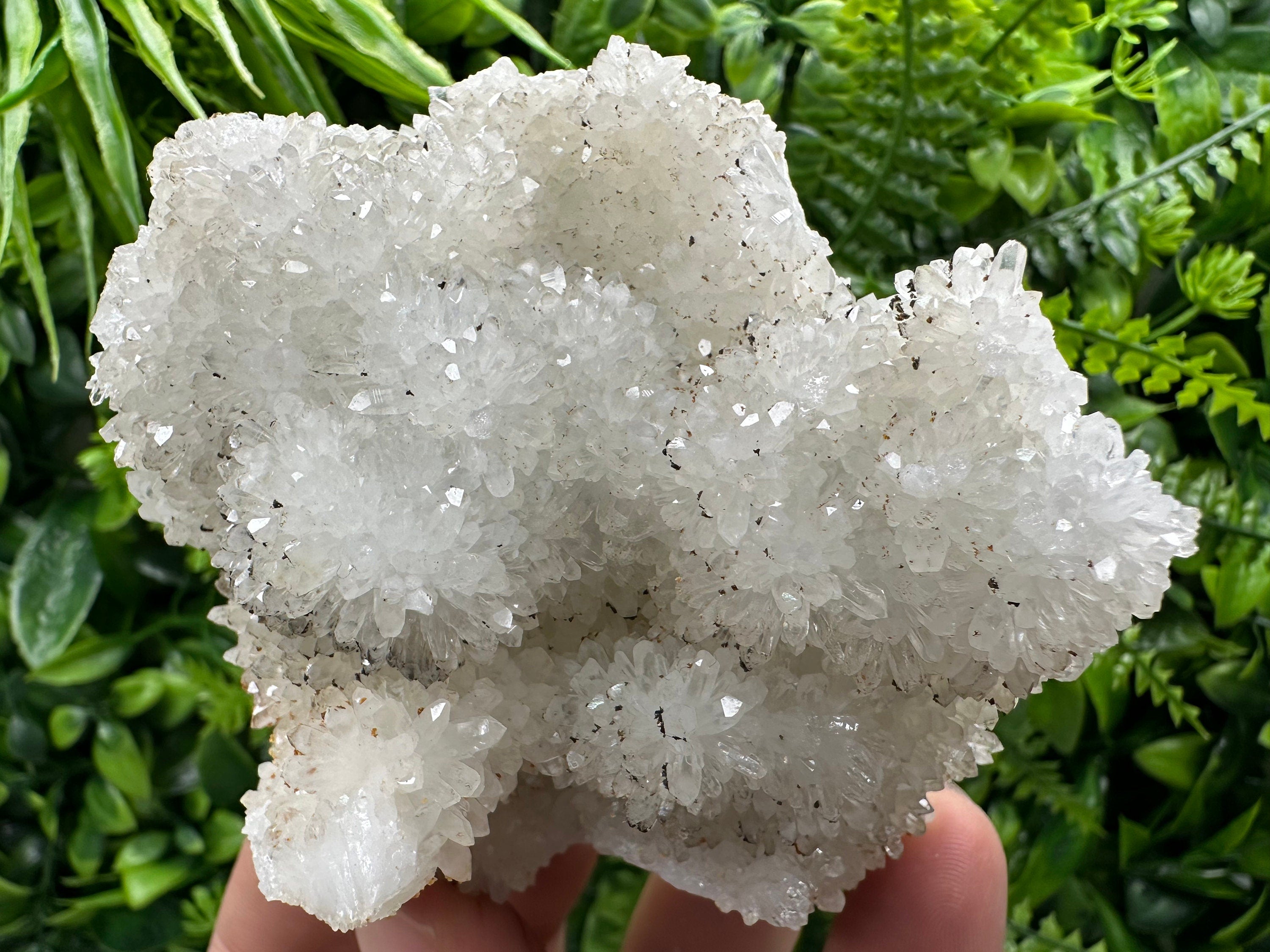 Transparent Quartz Cluster, Natural Minerals, Bulgaria