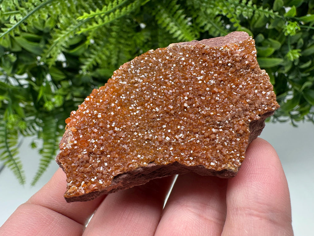 Red Vanadinite on Matrix from Marocco,crystal minerals Speciment cluster Vanadinite crystal Vanadinite Geology Vanadinite cluster minerals