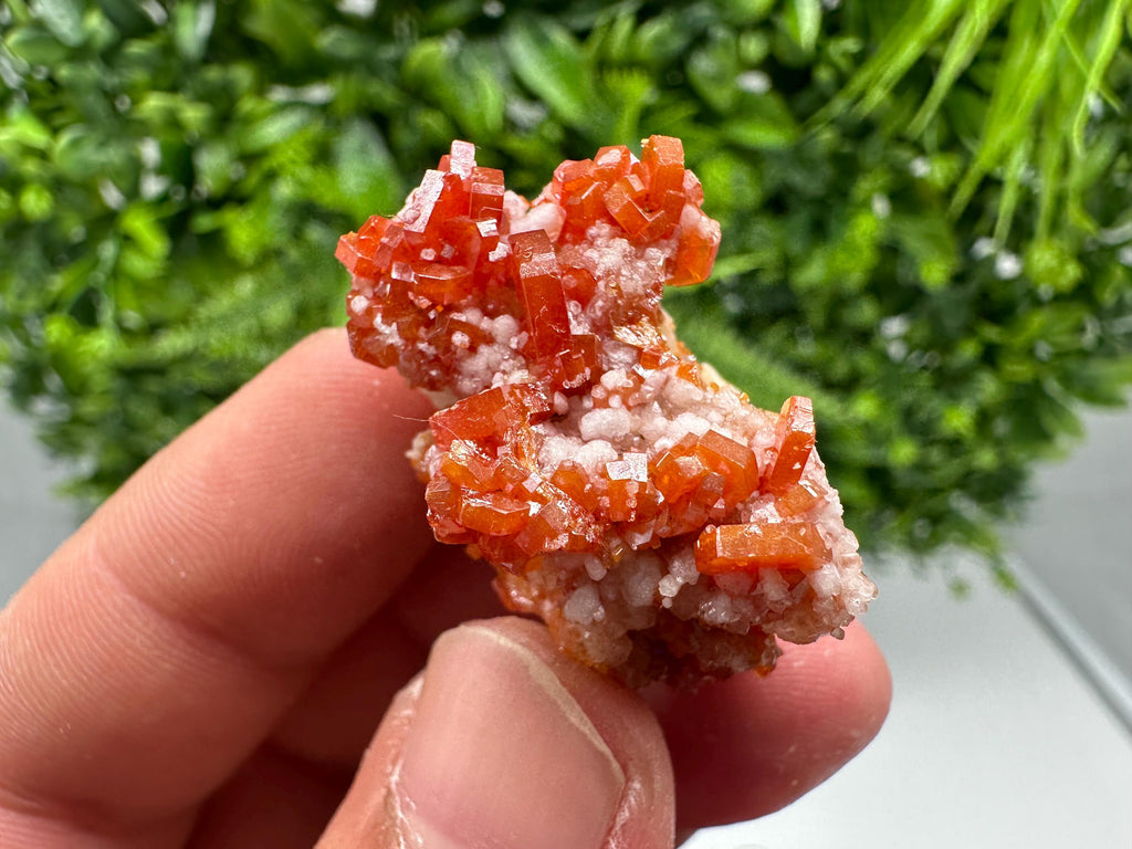 Red Vanadinite on Barite from Marocco,crystal minerals Speciment cluster Vanadinite crystal Vanadinite Geology Vanadinite cluster minerals