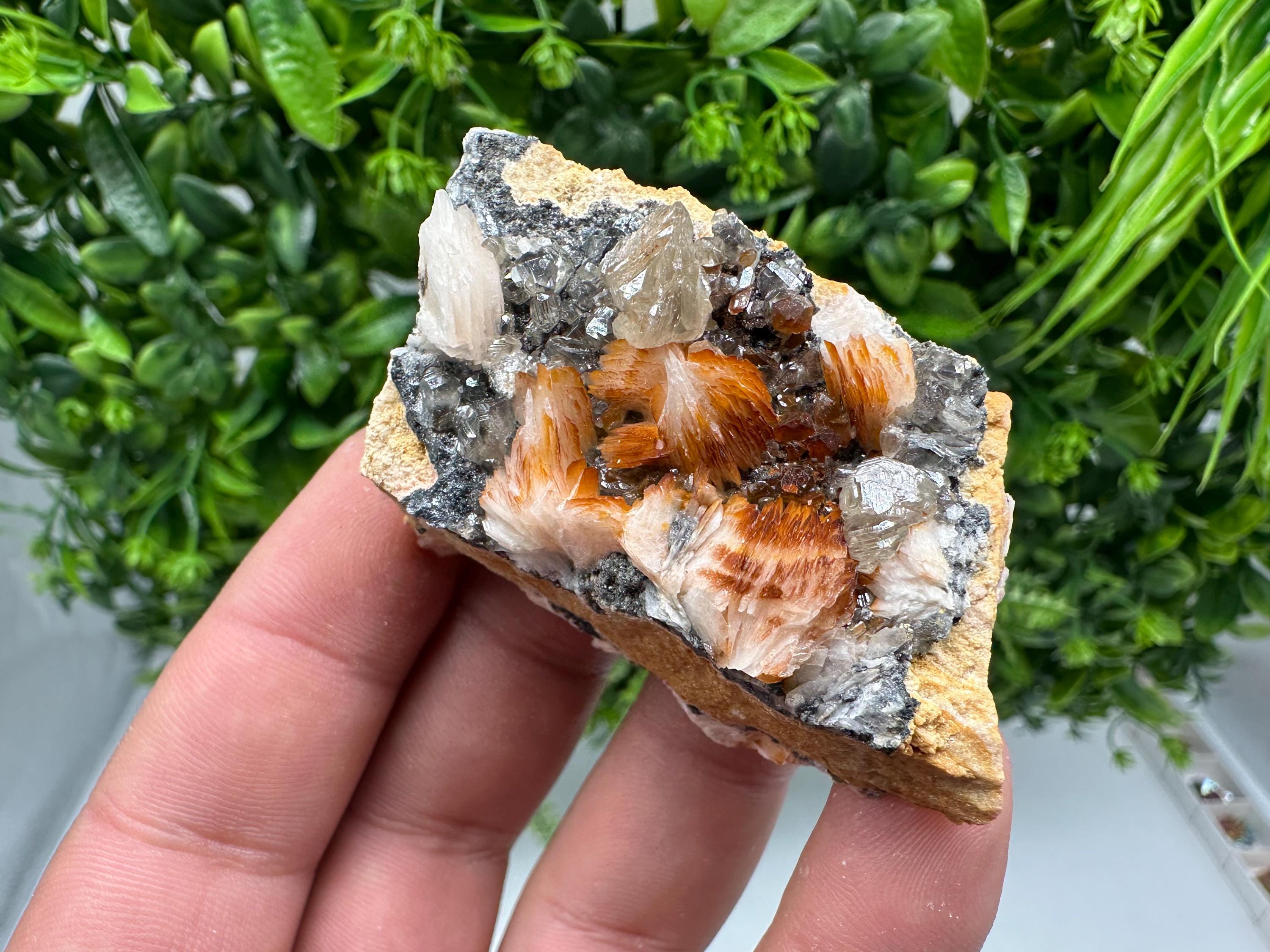 Wonderful Baryte with Cerussite on Galena from Morocco,Crystal, Mineral,Specimen,Cluster,Crystals,Barite Crystal,Cerussite Crystal,Specimen