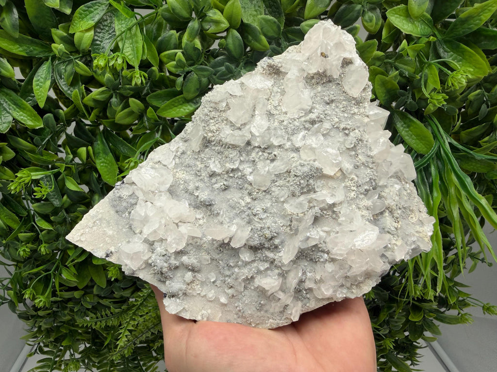 Calcite Quartz on Chlorite Matrix Mineral Specimen, Borieva Mine Bulgaria, Rare Crystal Home Decor