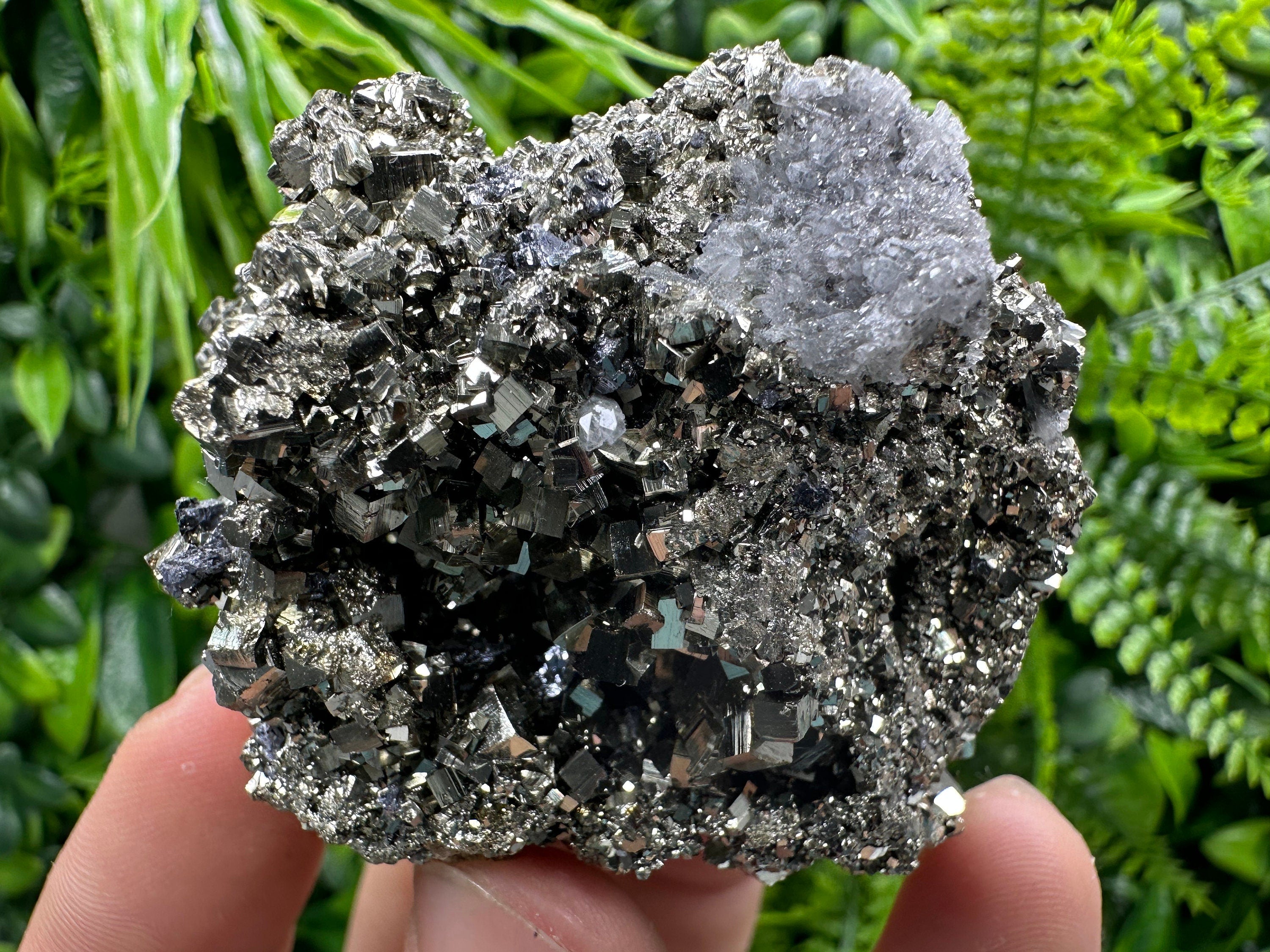 Golden Pyrite Crystal: Borieva Mine, Bulgaria