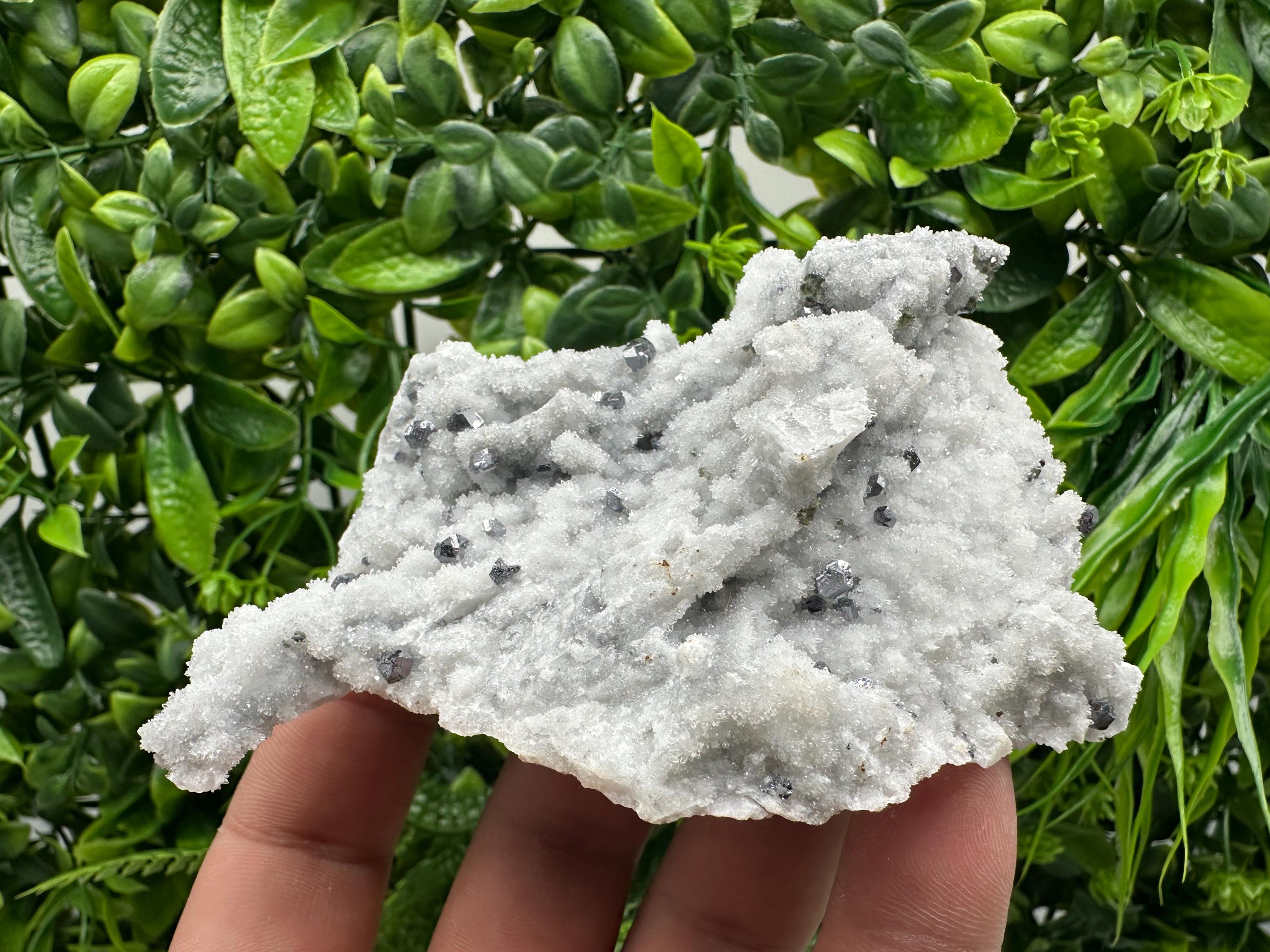 Mirror Galena on Chalcedony, Krushev dol Mine Mineral Specimen