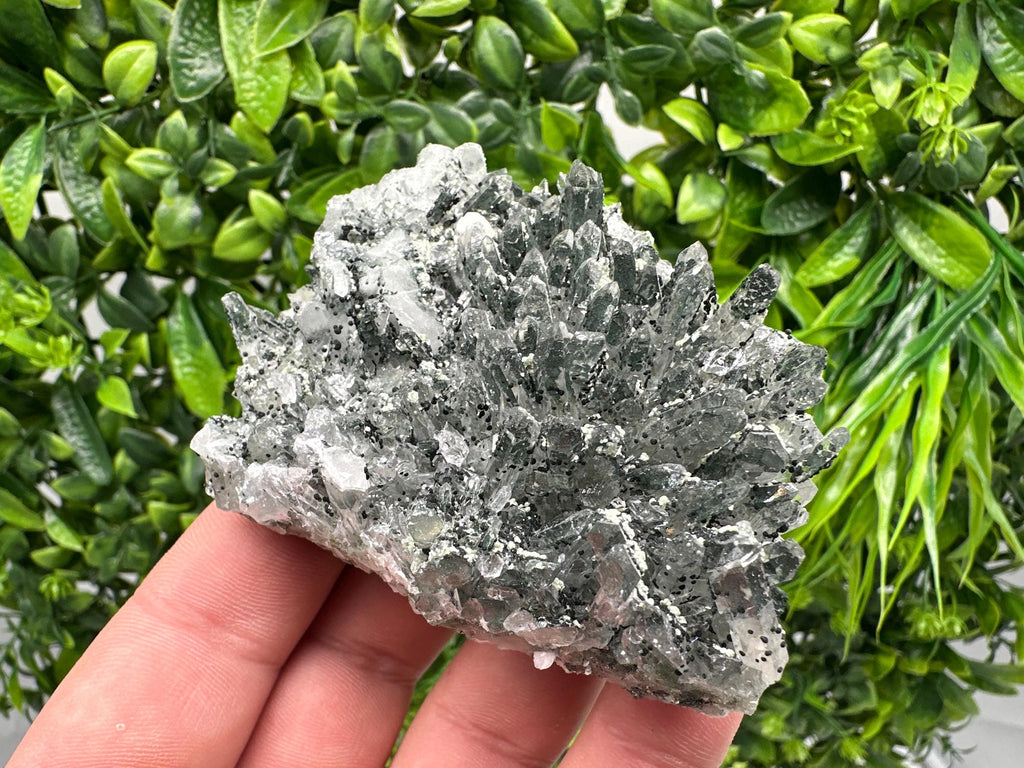 Chlorite Quartz Crystal Cluster - Borieva Mine, Bulgaria