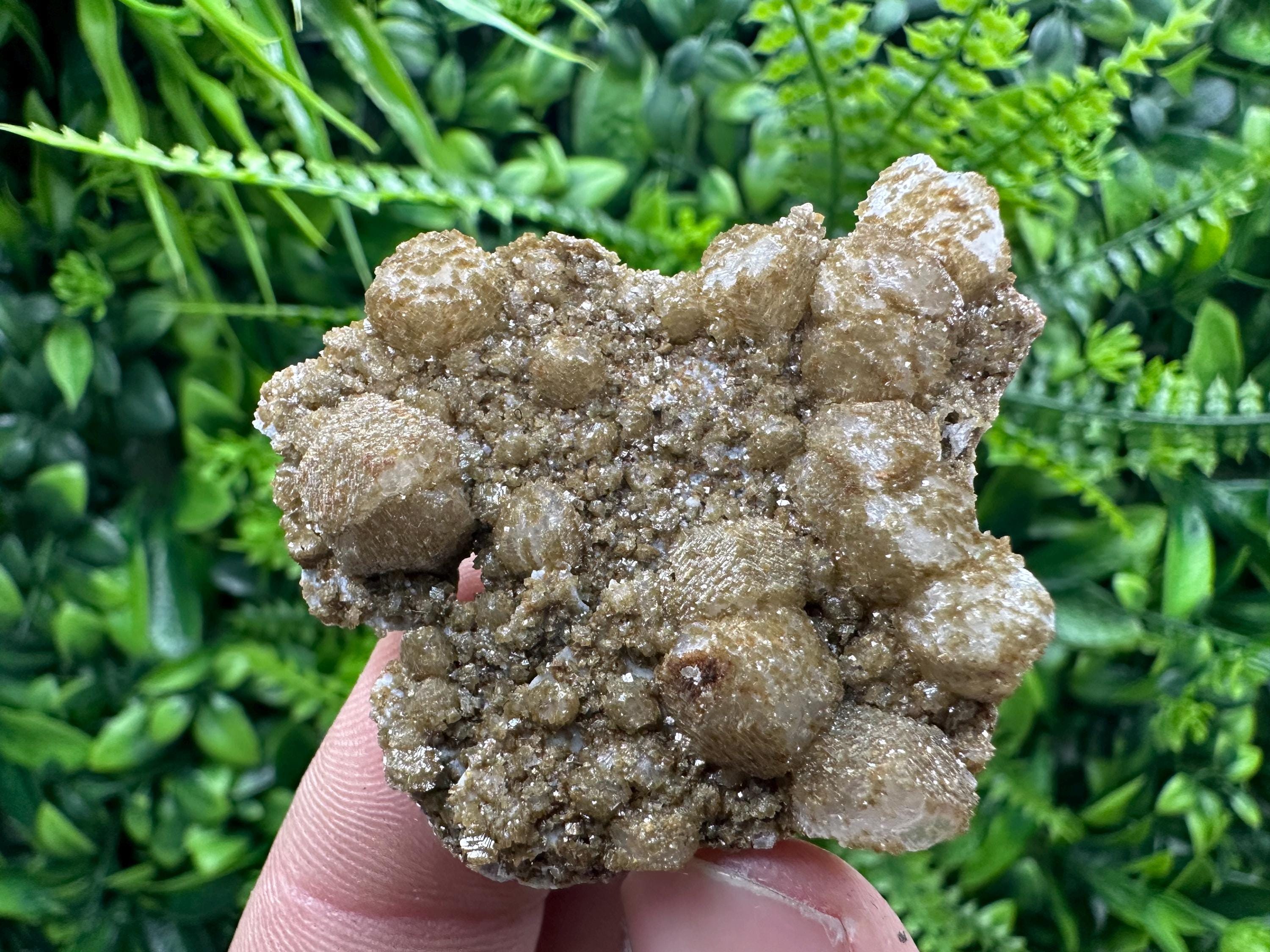 Brown Rhodochrosite on Calcite, Djurcovo Bulgaria, Mineral Specimen