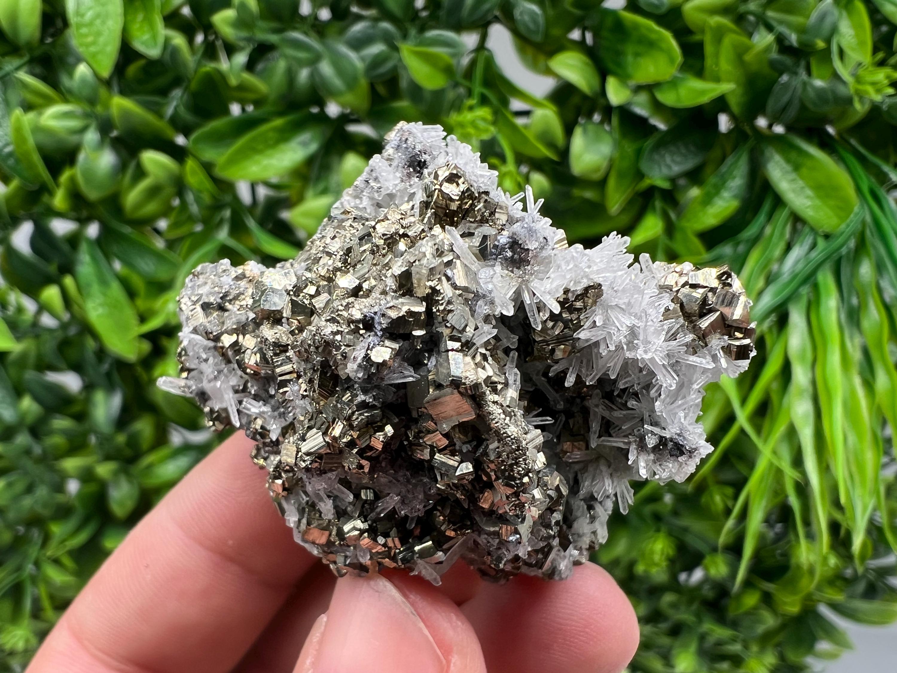 Pyrite on Green Quartz Mineral Specimen, Borieva Mine Bulgaria