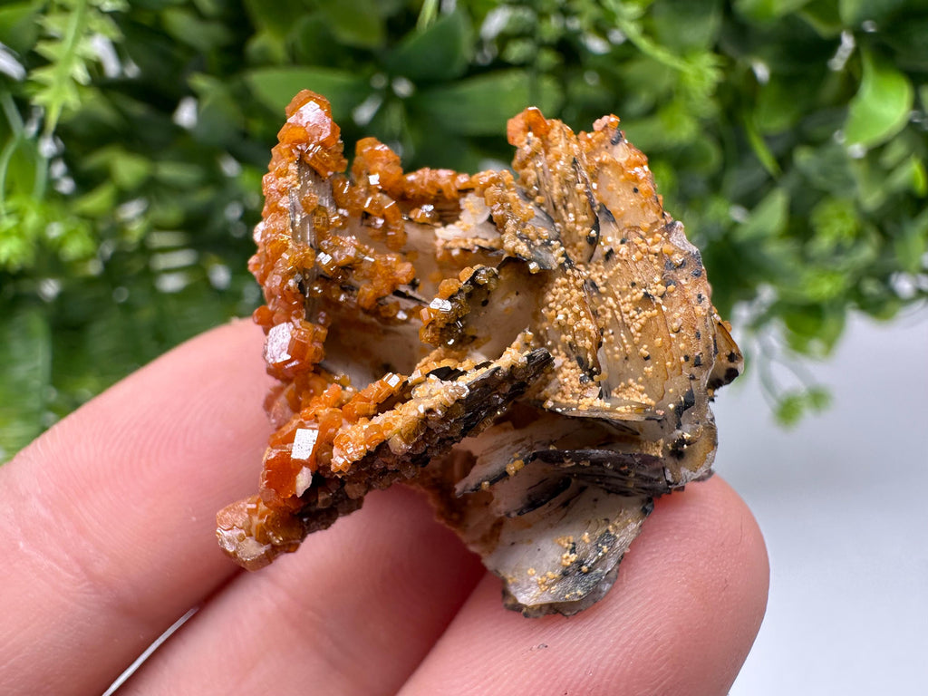 Red Vanadinite on Barite from Marocco,crystal minerals Speciment cluster Vanadinite crystal Vanadinite Geology Vanadinite cluster minerals
