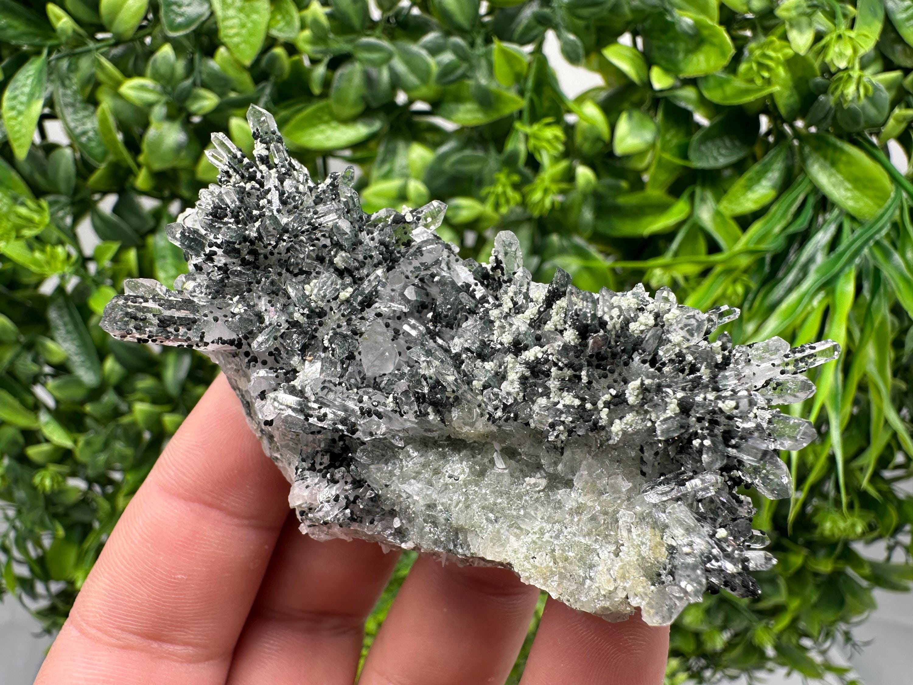 Chlorite Quartz Crystal Cluster - Borieva Mine, Bulgaria
