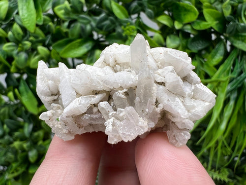 Calcite on Green Quartz: Djurcovo Mine, Bulgaria Healing Crystal