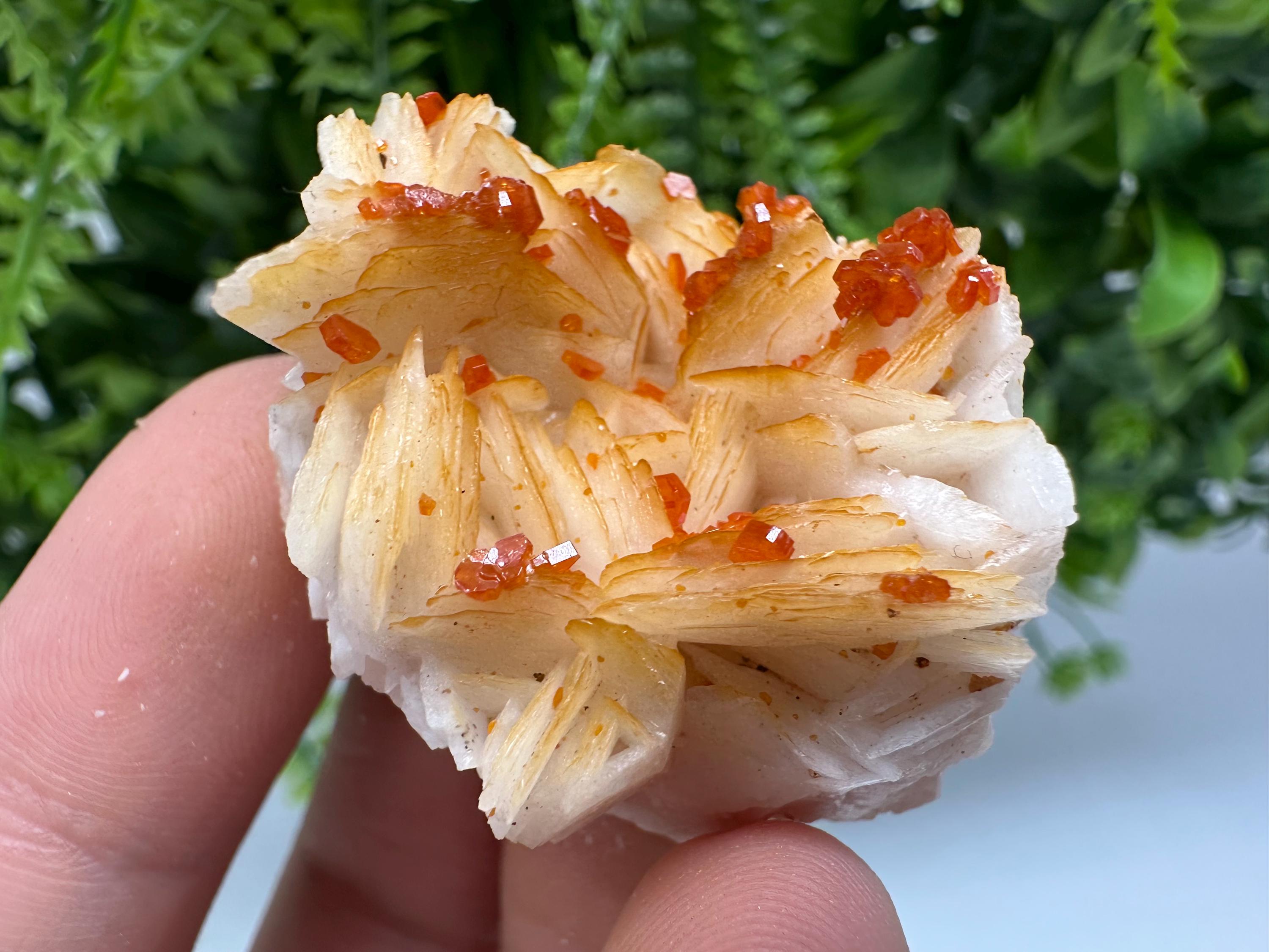 Red Vanadinite on Barite from Marocco,crystal minerals Speciment cluster Vanadinite crystal Vanadinite Geology Vanadinite cluster minerals