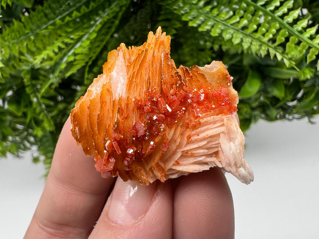 Red Vanadinite on Barite from Marocco,crystal minerals Speciment cluster Vanadinite crystal Vanadinite Geology Vanadinite cluster minerals