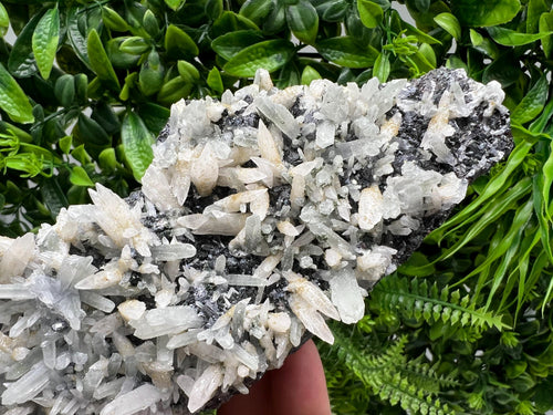 Calcite on Green Quartz: Djurcovo Mine, Bulgaria Healing Crystal